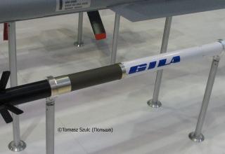 Макет авиационной ракеты Gila от немецкого концерна Diehl. ©Tomasz Szulc (Польша)