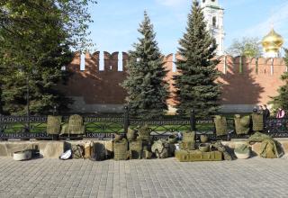 Автор фотографии: С.В. Гуров (Россия, Город-Герой Тула). Дата съёмки: 03.05.2025 г.
