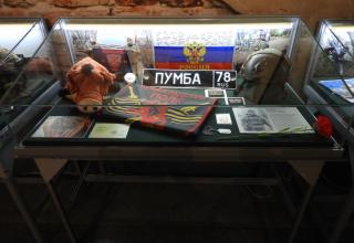 Из экспозиций Военно-исторического музея артиллерии, инженерных войск и войск связи, посвящённых СВО