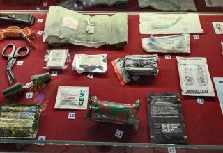 Автор фотографии: С.В. Гуров (Россия, Город-Герой Тула). Дата съёмки: 31.10.2025 г.