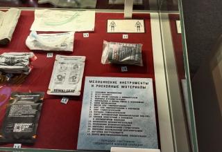 Автор фотографии: С.В. Гуров (Россия, Город-Герой Тула). Дата съёмки: 31.10.2025 г.