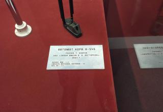 Автор фотографии: С.В. Гуров (Россия, Город-Герой Тула). Дата съёмки: 31.10.2025 г.