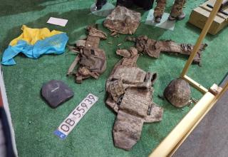 Автор фотографии: С.В. Гуров (Россия, Город-Герой Тула). Дата съёмки: 31.10.2025 г.