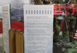 Автор фотографии: С.В. Гуров (Россия, Город-Герой Тула). Дата съёмки: 31.10.2025 г.