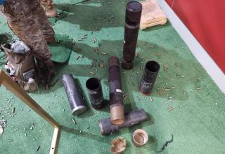 Автор фотографии: С.В. Гуров (Россия, Город-Герой Тула). Дата съёмки: 31.10.2025 г.