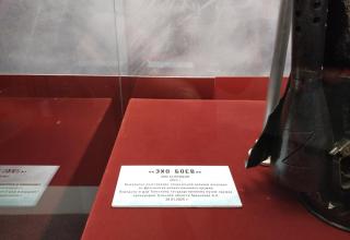 Автор фотографии: С.В. Гуров (Россия, Город-Герой Тула). Дата съёмки: 31.10.2025 г.