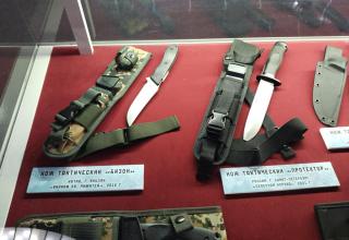 Автор фотографии: С.В. Гуров (Россия, Город-Герой Тула). Дата съёмки: 31.10.2025 г.