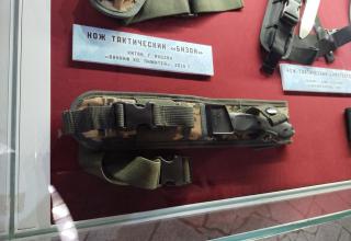 Автор фотографии: С.В. Гуров (Россия, Город-Герой Тула). Дата съёмки: 31.10.2025 г.