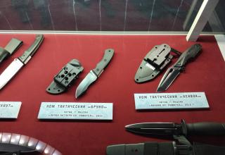 Автор фотографии: С.В. Гуров (Россия, Город-Герой Тула). Дата съёмки: 31.10.2025 г.