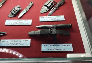 Автор фотографии: С.В. Гуров (Россия, Город-Герой Тула). Дата съёмки: 31.10.2025 г.