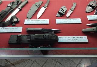 Автор фотографии: С.В. Гуров (Россия, Город-Герой Тула). Дата съёмки: 31.10.2025 г.