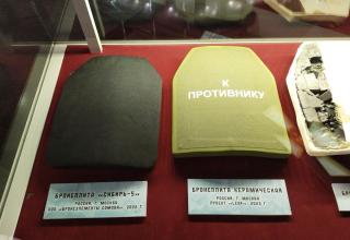 Автор фотографии: С.В. Гуров (Россия, Город-Герой Тула). Дата съёмки: 31.10.2025 г.