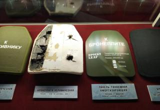 Автор фотографии: С.В. Гуров (Россия, Город-Герой Тула). Дата съёмки: 31.10.2025 г.