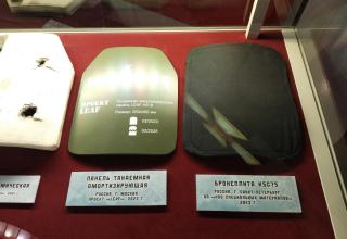 Автор фотографии: С.В. Гуров (Россия, Город-Герой Тула). Дата съёмки: 31.10.2025 г.