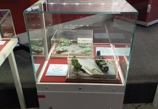 Автор фотографии: С.В. Гуров (Россия, Город-Герой Тула). Дата съёмки: 31.10.2025 г.