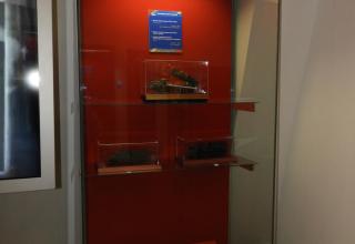 Автор фотографии: С.В. Гуров (Россия, Город-Герой Тула). Дата съёмки: 07.11.2025 г.